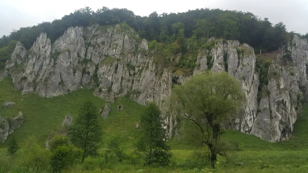 Cum reușește lichidul din jurul tumorilor să alimenteze glioblastomul?