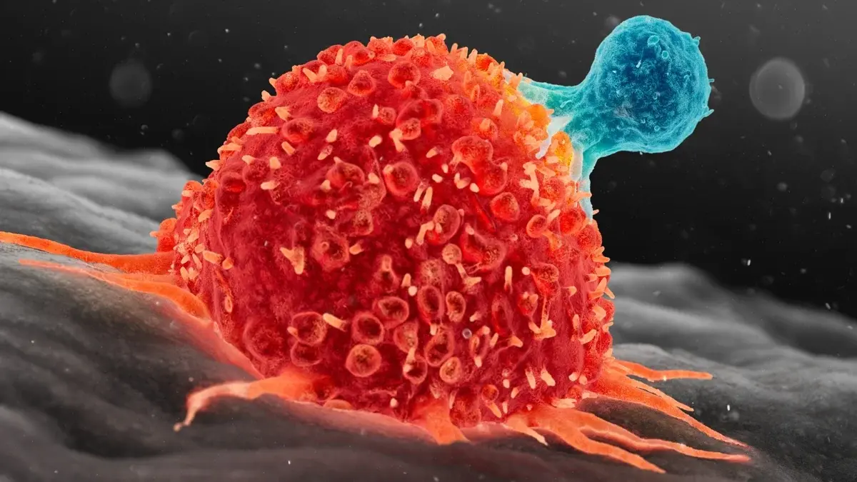 Doi români au impresionat America: proiectul lor revoluționează căutarea tratamentelor anti-cancer