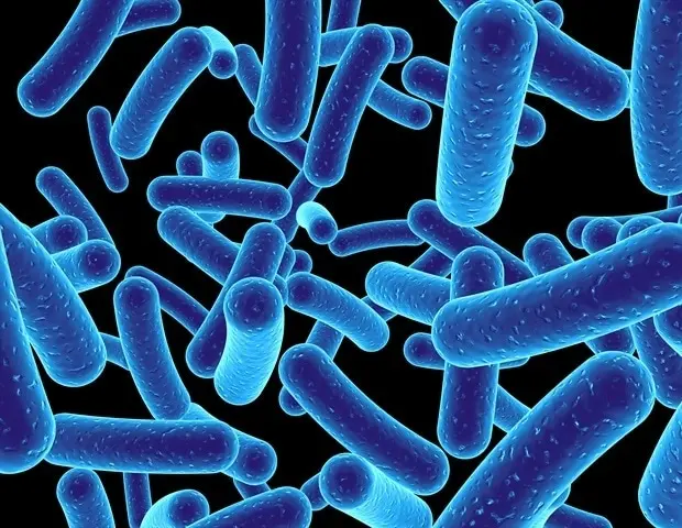Virusul picobirnavirus: de la patogen uman la prădător bacterian