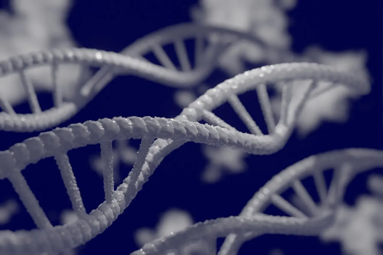 Studiu genetic global dezvăluie noi riscuri de ADN pentru boala Alzheimer