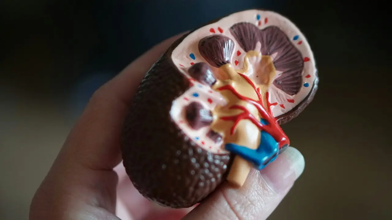 Analizele de rutină pot rata boala renală la pacienții cu cancer