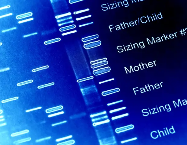Testarea genetică universală dezvăluie riscuri ascunse de cancer la vârstnici