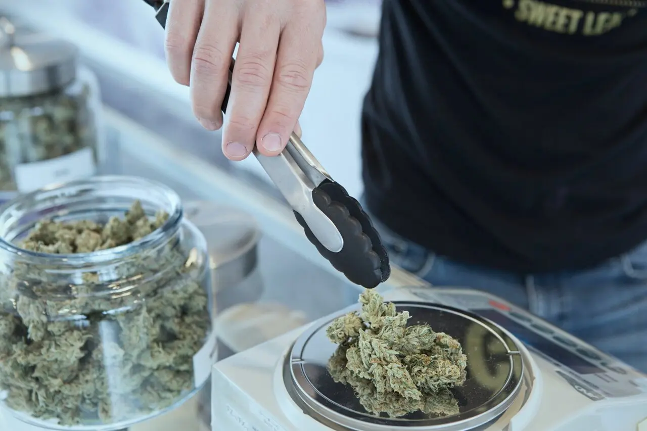 Legalizarea canabisului în SUA corelată cu creșterea spitalizărilor cardiace